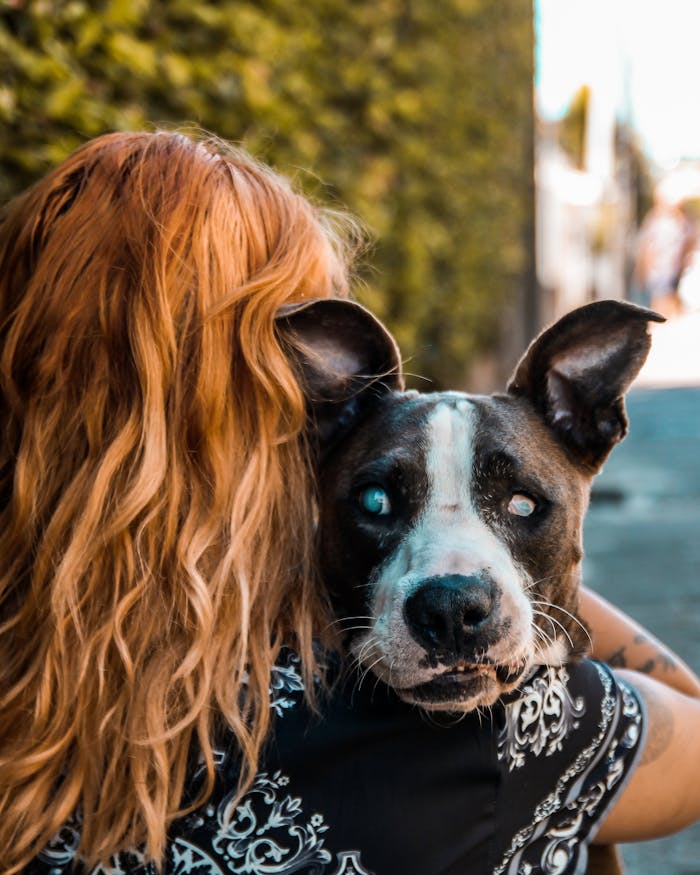 Services A woman embraces a blind dog outdoors, showcasing love and adoption.